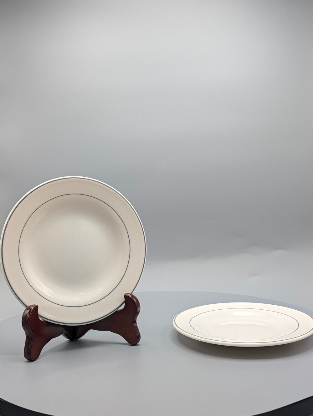 Set of 2 Vintage 70s Arcopal France Gastronomie Geneva Bread Plates